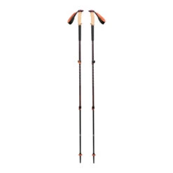 Paragon Sports On Sale -Paragon Sports On Sale 67926 5069 BD110065 FIG 2