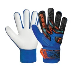 ATTRAKT STARTER SOLID JR | BLUE